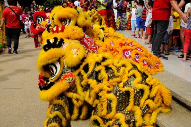 SEREMBAN, MALAYSIA - 2 Şubat 2017: Çin aslan maskesi veya aslan kafası Çin Yeni Yıl Festivali sırasında Seremban, Malezya 'da aslan dansı yaptı. Güzel & Renkli. 