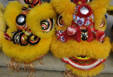 SEREMBAN, MALAYSIA - 2 Şubat 2017: Çin aslan maskesi veya aslan kafası Çin Yeni Yıl Festivali sırasında Seremban, Malezya 'da aslan dansı yaptı. Güzel & Renkli. 