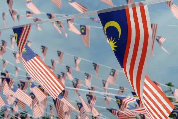 Selangor Malaysia Agosto 2017 Legatura Selettiva Piccole Dimensioni Focalizzata Sulla — Foto Stock