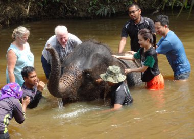PAHANG, MALAYSIA -15 Eylül 2017: Bir grup turist Fil Koruma Merkezi, Kuala Gandah, Pahang Malezya 'da bebek filleri yıkamaktan mutluluk duyuyorlar. Yerel bir fil eğitmeninden yardım alıyorlar..
