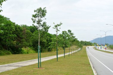 SEREMBAN, Malezya - 5 Mart 2020: peyzaj çalışması. Yeni ağaçlar dikilir ve devrilmesini önlemek için tahta gibi destek araçlarıyla desteklenir. Bu araç daha sonra kaldırılacak. 