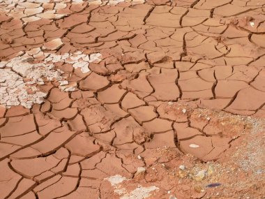 Daha önce su içeren çamur alanları sıcak hava ve kuraklık nedeniyle çatladı. Tüm su içeriği sıcaktan buharlaştı.