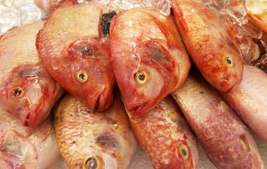 SEREMBAN, MALAYSIA -OCTOBER 16, 2016: Buzda donmuş Nemipterus heksodon olarak bilinen süslü iplik balığı veya bilimsel adı. Pazarda satışa hazır olun.. 