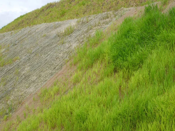 Proteção Declive Permanente Com Grama Natural Usando Método Hidrosemente Grama — Fotografia de Stock