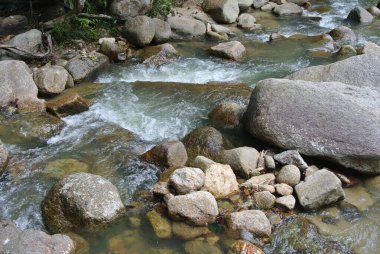 JERAM TOI, MALAYSIA -22 Ekim 2020: Malezya 'daki Jeram Toi Dinlenme Parkı' nda sıcak atmosfer. Ziyaretçiler tatilin ve aile pikniğinin tadını çıkarıyor.