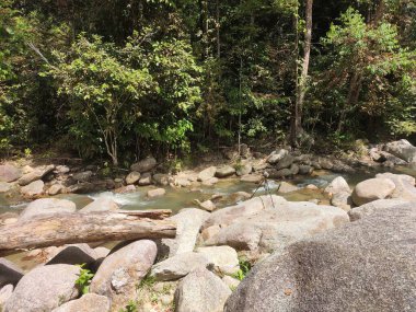JERAM TOI, MALAYSIA -22 Ekim 2020: Malezya 'daki Jeram Toi Dinlenme Parkı' nda sıcak atmosfer. Ziyaretçiler tatilin ve aile pikniğinin tadını çıkarıyor.