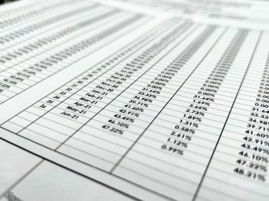 Hesap defterlerine odaklanmış. Hesap raporları aylık bazda yapılır ve kağıda yazılır.