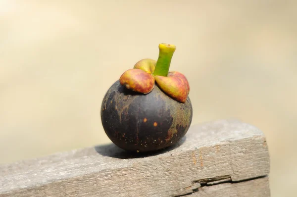 Mangostano fresco viola o Garcinia mangostana — Foto Stock