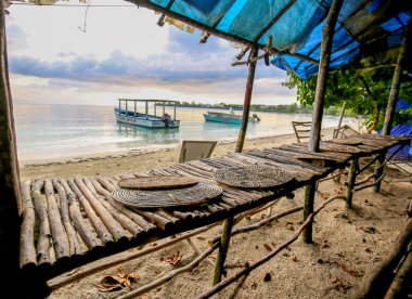 Terk edilmiş tüccar okyanus kıyısında duruyor..