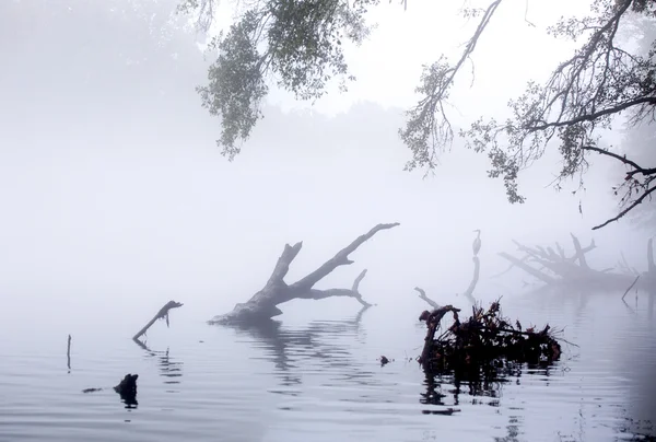 Ранним Утром Река Покрылась Туманом — стоковое фото