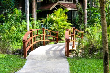 Yeşil arka plana sahip bir doğa parkı Bridge'de.