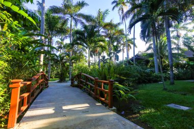 Güzel tropik tatil dış palmiye ağaçları ile.