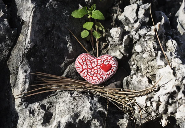 Red Speckled Heart on a Rock. — Stock Photo, Image