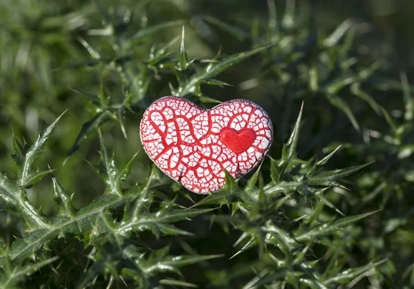 Красное Сердце на тернии — стоковое фото
