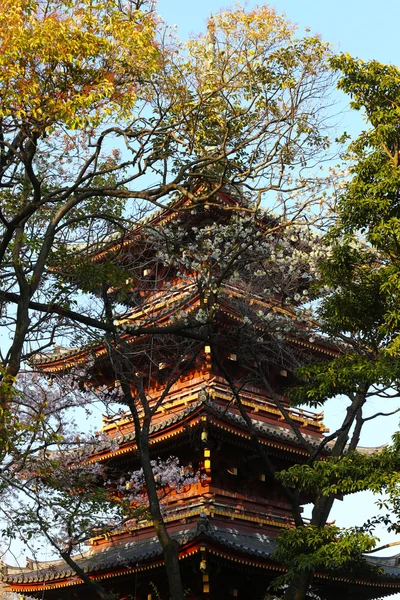 日本的宝塔树在东京上野公园内. — 图库照片