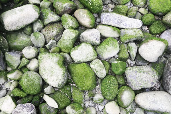 Pietre di muschio verde su una spiaggia — Foto Stock