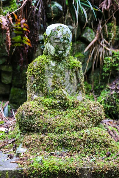 Antigua estatua de Buda en musgo verde en un bosque . — Foto de Stock