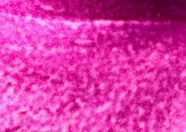 Purple flower petal pattern in close-up