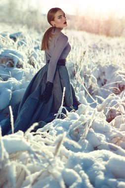 Kar kraliçesi. Kış günü.