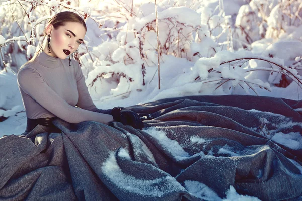 눈 여왕입니다. 겨울 날. — 스톡 사진
