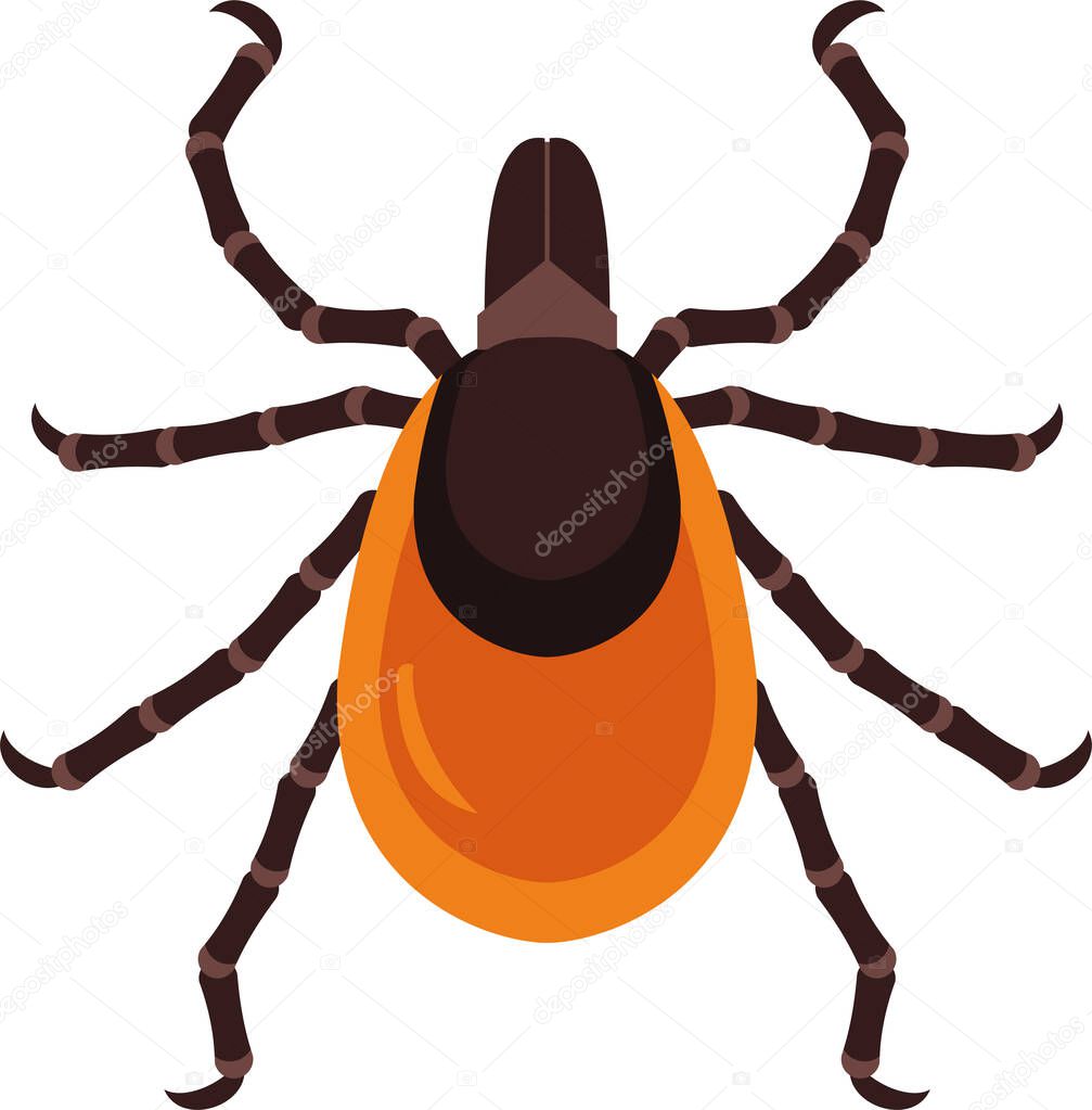 Mite. Insect parasite isolated on white background. Vector illustration