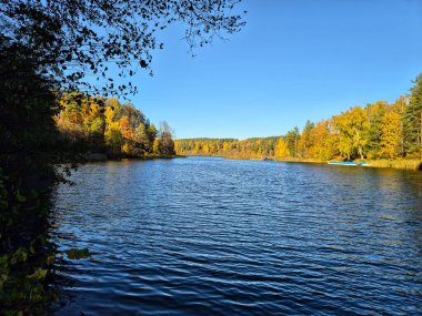 Litvanya 'nın Vilnius kenti yakınlarındaki ünlü Green Lakes (alieji eerai) göllerinden biri olan Balsys Gölü' nde mükemmel bir sonbahar gününde güzel ve sakin bir manzara. Güneş ışığında dalgalanan derin mavi su yoğun bir ormanla çevrilidir..