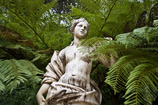 Venüs heykeli ağaçların arasındaki