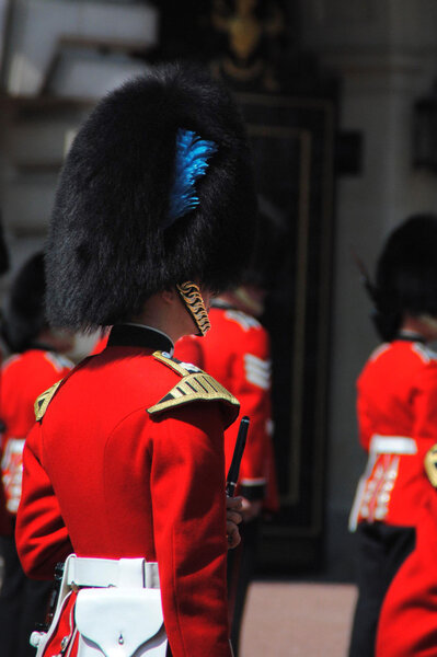 British Royal Soldier