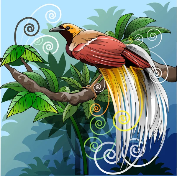 Ilustrasi Vektor Modifikasi Burung Cendrawasih Atau Burung Surga Sebagai Simbol - Stok Vektor