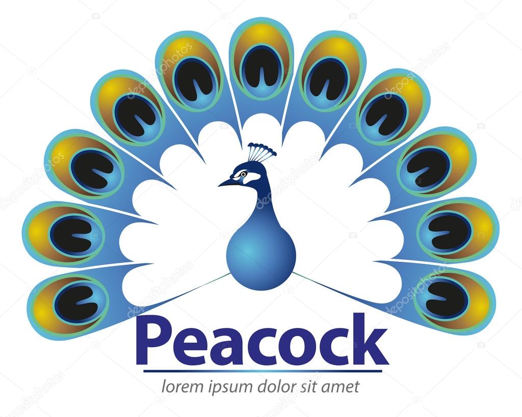 Peacock logo or icon