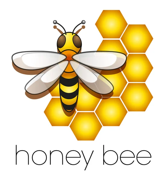 Honney Bee — Vettoriale Stock