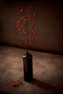 Natürmort peynir mayası elma dalı ile