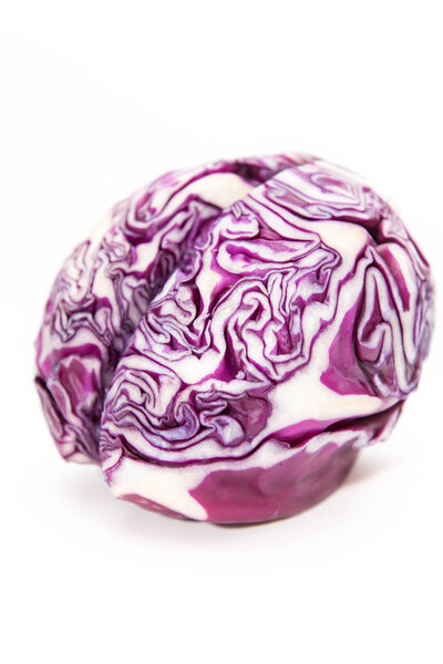 Cabbage shaped like brain