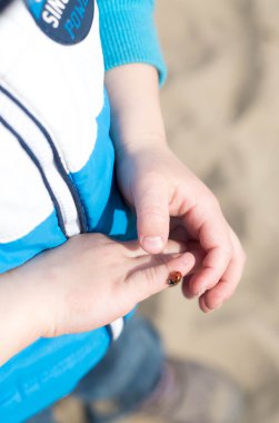 Çocuk holding uğur böceği