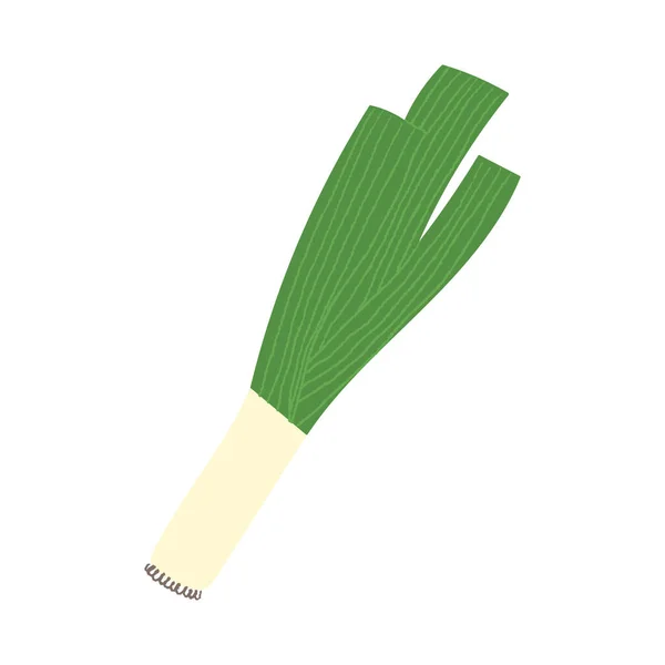 Лук-порей Плоская ручная иллюстрация зеленого лука в саду. — стоковый вектор