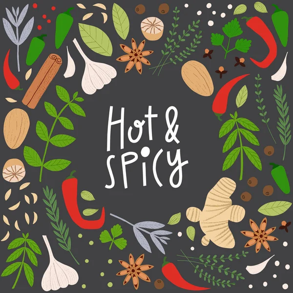 Spezie ed erbe aromatiche cornice. Lettere calde e piccanti con ingredienti di cottura piatti disegnati a mano. — Vettoriale Stock