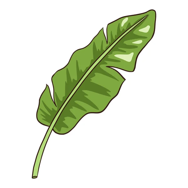 Hoja de plátano ecológico tropical dibujado a mano. Dibujo de línea Elemento botánico para logotipo, cosméticos, spa, productos de cuidado de belleza — Archivo Imágenes Vectoriales