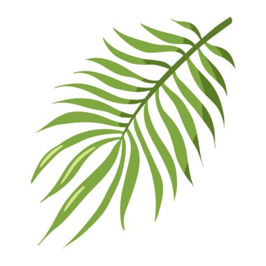 Düz stil Tropikal Organik Palm Leaf. Egzotik yaprak ikonu. Logo, kozmetik, spa, güzellik ürünleri, çıkartmalar, baskılar için çiçek vektör şablonu