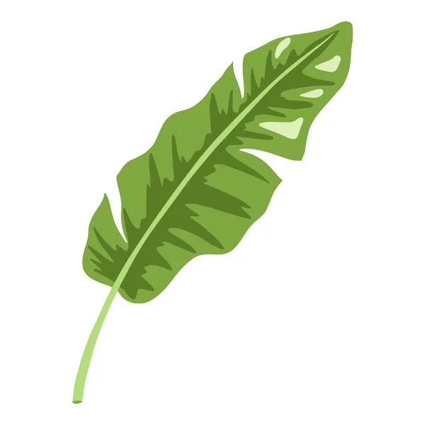 우림의 식물인 바나나 이국적 나뭇잎 아이콘이야 화장품 스티커 프린트를 템플릿 — 스톡 벡터
