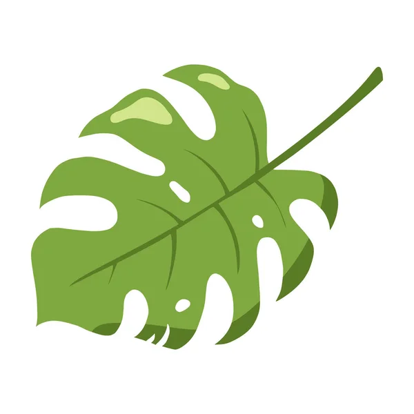 Płaski Styl Tropikalny Organic Monstera Leaf Egzotyczna Ikona Liści Szablon — Wektor stockowy