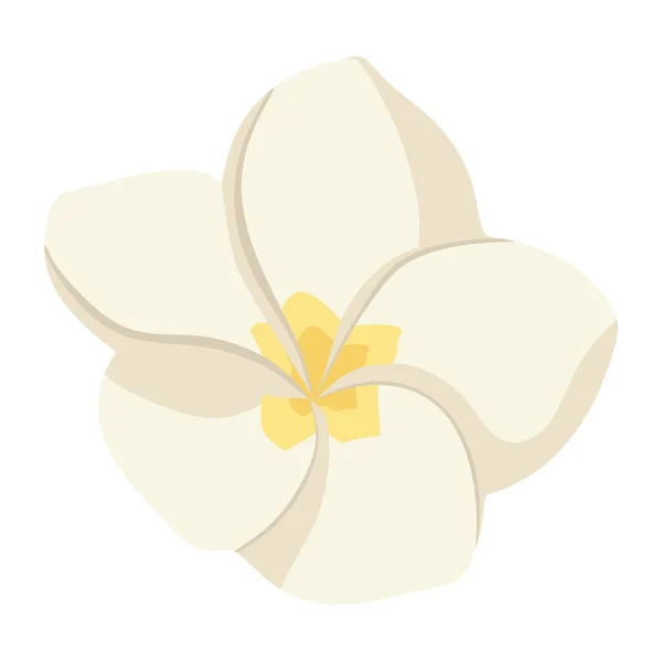 Плоскостильный Белый Желтый Вектор Цветочных Соцветий Plumeria Икона Экзотического Цветения — стоковый вектор