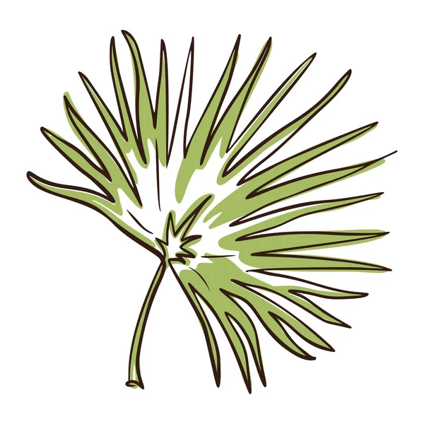 Linea d'arte Chamaerops Leaf. Foglia tropicale disegnata a mano per logo, emblema, modello, spa, cosmetici, prodotti per la cura della bellezza, web, stampe — Vettoriale Stock