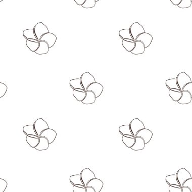 Line Art Exotic Plumeria Flowers Seamless Pattern. Hand drawn frangipani flower for backdrop, wrapping paper, fabric, textile, web, wallpaper, spa and beauty care products