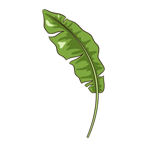 Line Drawing Tropical Banana Leaf Hand Drawing Floral Element Logo — 스톡 벡터