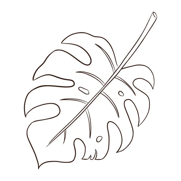 Monstera Leaf Line Art Handgezeichnete Tropische Blätter Isolierte Vektorillustration Für — Stockvektor