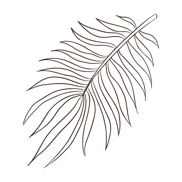 Tropische Organic Palm Leaf Line Art Handgezeichnete Exotische Regenwald Palmblätter — Stockvektor