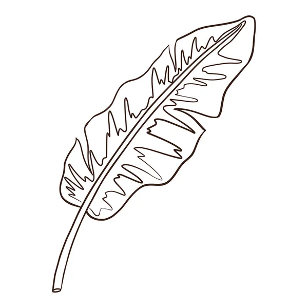 熱帯有機バナナの葉ラインアート 手描きロゴ 化粧品 美容ケア製品 エンブレム テクスチャ ステッカーやプリントのためのエキゾチックな葉要素 — ストックベクタ