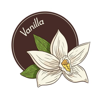 Logo, Amblem, Etiket, çıkartma ve baskılar için Vanilla Çiçeği Logosu ve Antika Şablonu