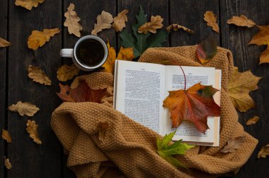Düşmüş Yapraklar, Kahve ve Açık Kitap Düz Çizgili Fotoğraf. Ahşap arka planda sonbahar kompozisyonu. Bir fincan kahve, kitap ve yapraklar. Kırsal, sıcak, sakin sabah konsepti
