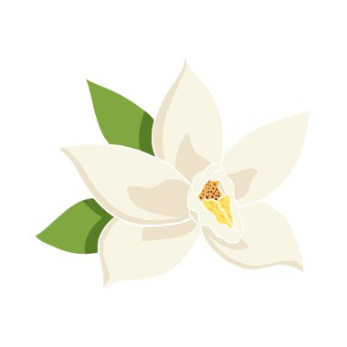 Flat Style Vanilla Flower Illustration for Food and Aroma Logo, Amblem, Etiket, tarif, menü, baskı, çıkartmalar, spa, parfüm, güzellik ürünleri